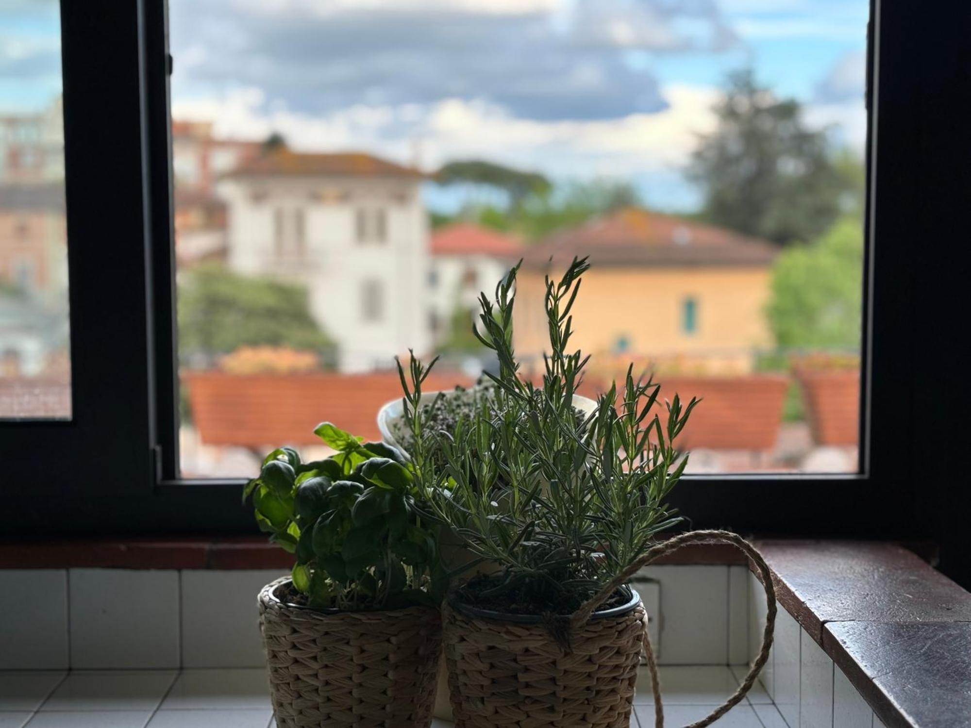 Lovely Apartment Lucca Exteriör bild